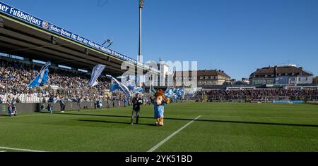 Fahnenschwenker vor der Stehhalle vor Spielbeginn, auf dem Rasen Stadionsprecher Sebastian Schaech (TSV 1860 München) und Maskottchen Sechzger (TSV 1860 München), im Hintergrund der Gaesteblock mit den Fans aus Unterhaching. GER, TSV 1860 München gegen SpVgg Unterhaching, Fussball, Bayerischer Totopokal, Viertelfinale, Saison 2024/2025, 16.11.2024. Foto: Eibner-Pressefoto/Heike Feiner Stockfoto