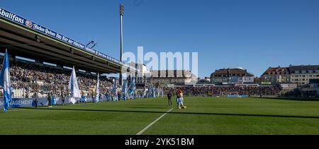 Fahnenschwenker vor der Stehhalle vor Spielbeginn, auf dem Rasen Stadionsprecher Sebastian Schaech (TSV 1860 München) und Maskottchen Sechzger (TSV 1860 München), im Hintergrund der Gaesteblock mit den Fans aus Unterhaching. GER, TSV 1860 München gegen SpVgg Unterhaching, Fussball, Bayerischer Totopokal, Viertelfinale, Saison 2024/2025, 16.11.2024. Foto: Eibner-Pressefoto/Heike Feiner Stockfoto