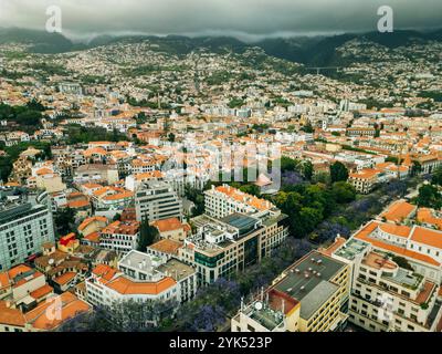 Aus der Vogelperspektive auf die Hauptstadt der Insel Madeira Funchal, Portugal Stockfoto