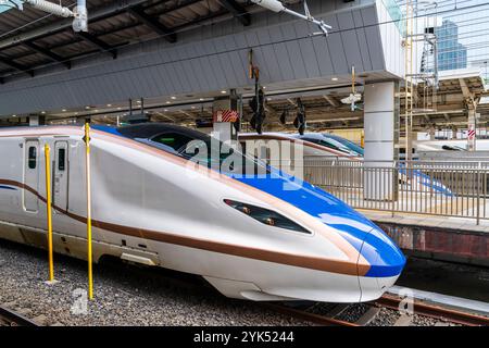 Japanische E7-Serie Shinkansen, Hochgeschwindigkeitszug, am Bahnsteig im Bahnhof Tokio. Vorderseite des Zuges mit Fahrerkabine und Scheinwerfern. Nummeriert F35. Stockfoto