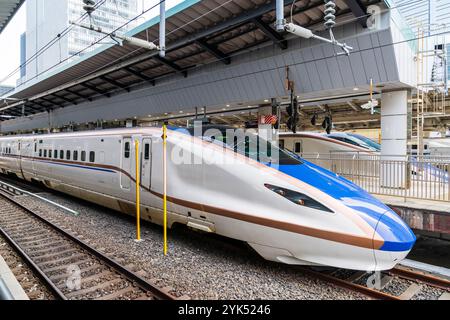 Japanische E7-Serie Shinkansen, Hochgeschwindigkeitszug, am Bahnsteig im Bahnhof Tokio. Vorderseite des Zuges mit Führerhaus und Wagen. Nummeriert F35. Stockfoto