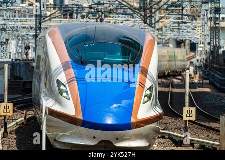 Japanische E7-Serie Shinkansen, Hochgeschwindigkeitszug, kommt an einem sonnigen Tag in den Bahnhof Tokio. Komprimierte Perspektive mit Massen von Oberleitungsdrähten. Stockfoto