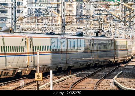 Japanische E7-Serie Shinkansen, Hochgeschwindigkeitszug, kommt an einem sonnigen Tag in den Bahnhof Tokio. Komprimierte perspektivische Ansicht der Wagen des Zuges Stockfoto