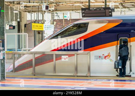 Fahrer, der am Bahnhof Tokio in die Führerkabine eines Shinkansen-Hochgeschwindigkeitszugs der E3-Serie einsteigt. Wird auf der Tohoku-Strecke zwischen Tokio und Aomori verwendet. Stockfoto