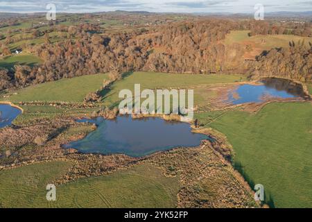 Luftaufnahme des Feuchtgebiets auf der Towy-Aue bei Dinefwr, Carmarthenshire, Wales, Großbritannien Stockfoto