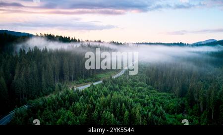 Aus der Vogelperspektive schlängelt sich die Straße durch dichten, nebelbedeckten Wald im frühen Morgenlicht. Üppig grüne Bäume mit Nebelschichten schaffen eine traumhafte Atmosphäre, während die Berge im Hintergrund aufsteigen. Stockfoto