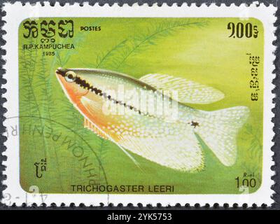 Von Kambodscha gedruckte gestempelte Briefmarke, die Pearl Gourami (Trichogaster leeri) zeigt, um 1985. Stockfoto