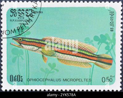 Von Kambodscha gedruckte gestempelte Briefmarke, die den Riesenschlangenkopf (Ophiocephalus micropeltes) zeigt, um 1985. Stockfoto