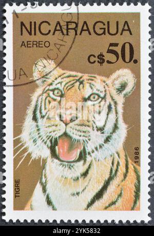 Gestempelte Briefmarke von Nicaragua, die Tiger (Panthera tigris) zeigt, um 1986. Stockfoto