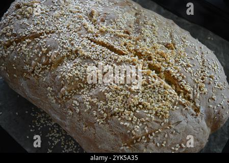 Essen, hausgemachtes Weißbrot mit Sesamsamen befindet sich auf einem schwarzen Blech. Flauschiges Brot, Brötchen zuhause. Stockfoto