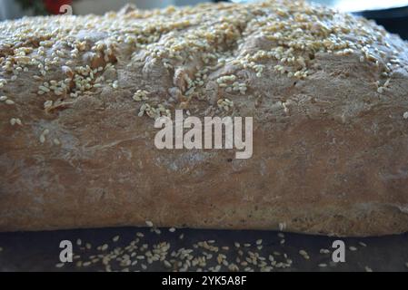 Essen, hausgemachtes Weißbrot mit Sesamsamen befindet sich auf einem schwarzen Blech. Flauschiges Brot, Brötchen zuhause. Stockfoto