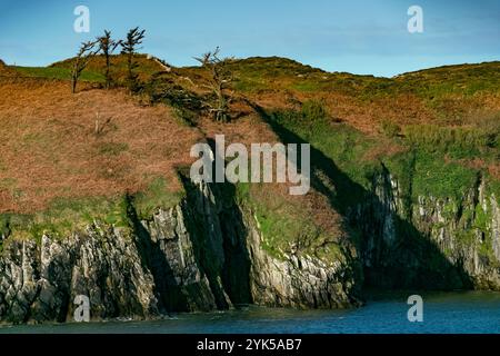 Ein atemberaubender Blick auf die Küste mit einer felsigen Klippe, die mit Bäumen geschmückt ist, mit lebendigem Grün und dramatischen Schatten, die von der Nachmittagssonne über dem Meer geworfen werden Stockfoto