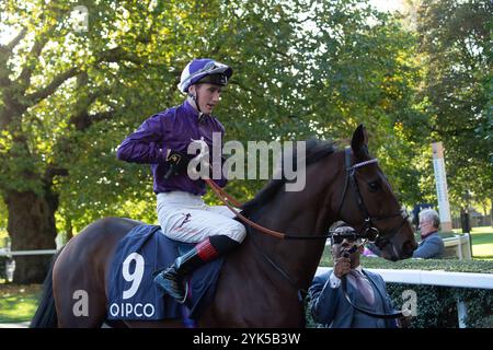 Ascot, Berkshire, Großbritannien. Oktober 2024. HERR PROFESSOR, der von Jockey David Egan geritten wird, geht auf die Rennstrecke für die Balmoral Handicap Stakes (Klasse 2) (gesponsert von QIPCO) beim QIPCO British Champions Day 2024, Ascot Racecourse, Berkshire. Kredit: Maureen McLean/Alamy Stockfoto