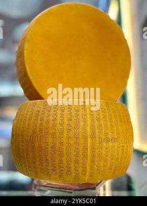 Ganze/ganze Scheibe Parmesankäse (Parmigiana Reggiano) - nicht pasteurisierte Kuhmilch - DOP - Italien Stockfoto