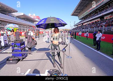 17. November 2024, Circuit de Barcelona-Catalunya, Barcelona, MotoGP Motul Solidarity Grand Prix von Barcelona, im Bild Raster Mädchen auf der Startaufstellung. Stockfoto