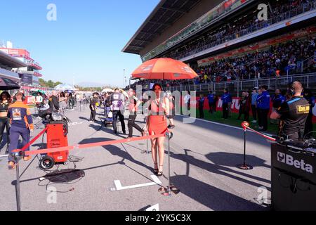 17. November 2024, Circuit de Barcelona-Catalunya, Barcelona, MotoGP Motul Solidarity Grand Prix von Barcelona, im Bild Raster Mädchen auf der Startaufstellung. Stockfoto