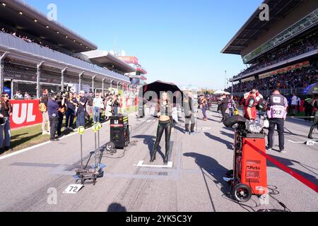 17. November 2024, Circuit de Barcelona-Catalunya, Barcelona, MotoGP Motul Solidarity Grand Prix von Barcelona, im Bild Raster Mädchen auf der Startaufstellung. Stockfoto