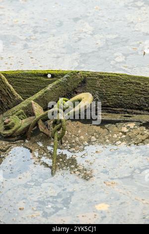 Rostige alte Algen-Kette und Haken an einem versunkenen Boot oder Schiffswrack bei Ebbe im Schlamm eines Hafens. Stockfoto