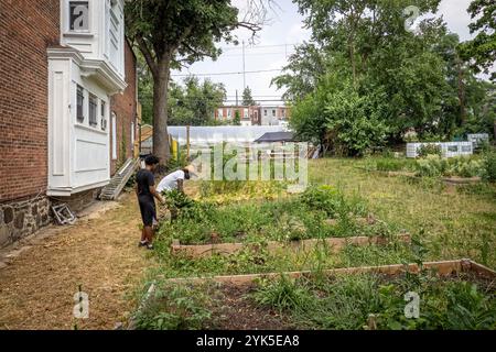 Die University of Maryland Extension Urban Farmer Field School veranstaltet eine Bildungsveranstaltung auf der Plantation Park Heights Urban Farm (PPHUF) in Baltimore, MD., am 20. Juli 2021. PPHUF wurde von Farmer Chippy (rechts) und einer Gruppe karibischer/amerikanischer Bürger gegründet, die Veränderungen herbeiführen und einen positiven Einfluss auf das Leben junger Erwachsener wie Farm Hand Elijah Bailey, 17, (links) haben, die in der Park Heights-Gemeinde leben und sich auf die Nahrungsmittelproduktion und -Verteilung konzentrieren, um die erste „Agrihood“ in Baltimore, MD, zu schaffen USDA/FPAC Foto von Preston Keres Stockfoto