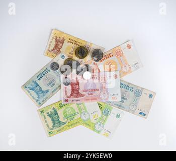 Einige Banknoten und einige Münzen von Moldau auf weißem Hintergrund Stockfoto