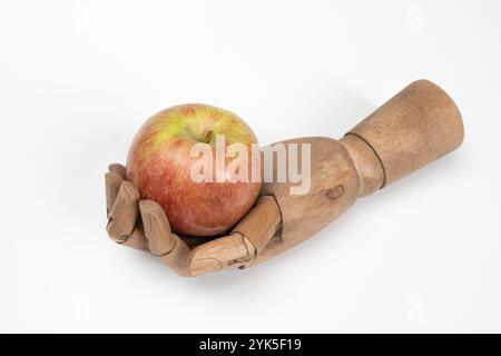 Ein Apfel in der Handfläche einer hölzernen Hand auf weißem Hintergrund Stockfoto
