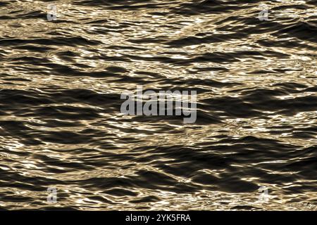 Kleine Wellen, Meeresoberfläche, Barentssee, Spitzbergen, Svalbard und Jan Mayen, Norwegen, Europa Stockfoto