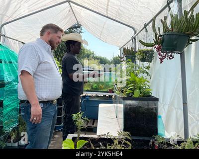 Coy Poitier, Executive Director des FAWC Conservatory of Arts and Sciences, verwaltet eine 1 Hektar große städtische Farm, die als Bildungszentrum in der Nähe von Dallas genutzt wird. Coy arbeitet eng mit Stefen Tucker, Urban County Executive Director, und der USDA Farm Service Agency zusammen, um mehr über die Vorteile und Möglichkeiten zu erfahren, die das Department bietet. Coy ist derzeit Mitglied des FSA Urban County Committee in Dallas. 7/2023 USDA Foto von Joshua Coleman Stockfoto