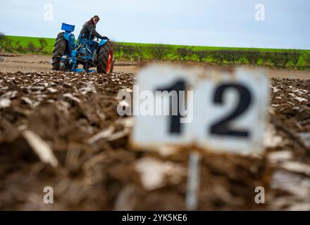 Norham, Northumberland, England, Großbritannien. November 2024. Alte und alte Traktoren und Pflüge konkurrieren beim Merse Vintage Plough Match auf der Norham Mains Farm in der Nähe von Northam an der ango-schottischen Grenze . Einige Traktoren aus dem Jahr 1942 wurden auseinandergenommen. Die Veranstaltung wurde vom Merse Vintage Pflug Club organisiert und die Richter suchten nach der Qualität der Pflugöffnung, Saatbeet, Festigkeit, Gleichmäßigkeit und Geradheit der gepflügten Furchen. Iain Masterton/Alamy Live News Stockfoto