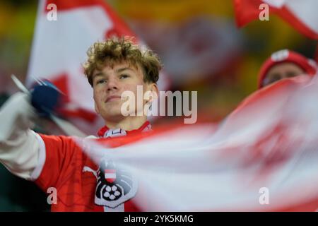 Linz, Österreich. November 2024. LINZ, ÖSTERREICH - 17. NOVEMBER: Österreichische Fans beim Spiel der UEFA Nations League 2024/25 Liga B Gruppe B3 zwischen Österreich und Slowenien am 17. November 2024 in Wien, Österreich.241117 SEPA 19 011 - 20241117 PD6511 Credit: APA-PictureDesk/Alamy Live News Stockfoto