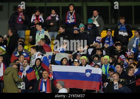 Linz, Österreich. November 2024. LINZ, ÖSTERREICH - 17. NOVEMBER: Fans Sloweniens beim Spiel der UEFA Nations League 2024/25 Liga B Gruppe B3 zwischen Österreich und Slowenien am 17. November 2024 in Wien, Österreich.241117 SEPA 19 009 - 20241117 PD6516 Credit: APA-PictureDesk/Alamy Live News Stockfoto