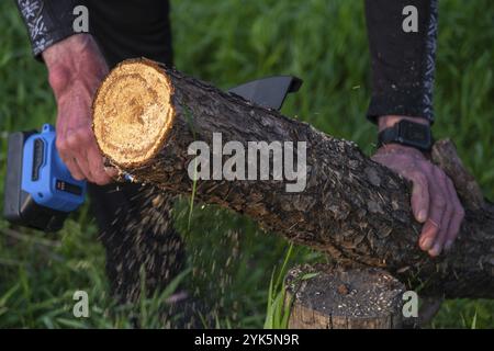 Tragbare elektrische Campingsäge auf einer Batterie zum Schneiden von Brennholz und Holz. Nahaufnahme, eine Hand sägt einen Baumstamm, Splitter fliegen Stockfoto