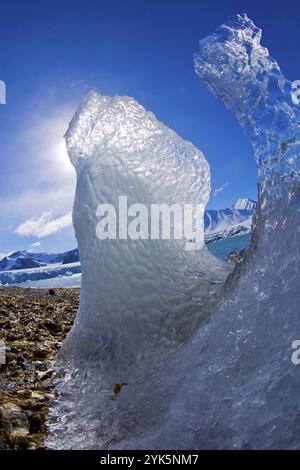 Gletschereis, schwimmendes Eis, Gletscher vom 14. Juli, Krossfjord, Arktis, Spitzbergen, Svalbard, Norwegen, Europa Stockfoto