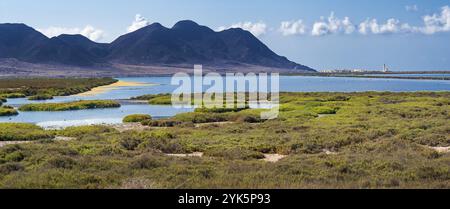 Vogelbeobachtungspunkt Las Salinas, Salinas de Cabo de Gata, Feuchtgebiet Ramsar, Naturpark Cabo de Gata-Nijar, UNESCO-Biosphärenreservat, Hot de Stockfoto