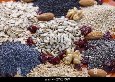 Auswahl an frischen getrockneten Samen, die als Zutaten für das Kochen verwendet werden. Sonnenblume, Sesam, Leinsamen, Mohn, Chia, Nüsse, Haferflocken und Cranberries auf Teller Stockfoto