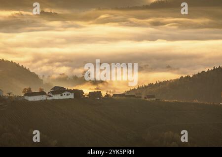 Herbstatmosphäre im goldenen Morgenlicht, Nebel driftet über Wald mit Laubfärbung, hügelige Landschaft und Bauernhof, Blick vom Demmerkogel Stockfoto