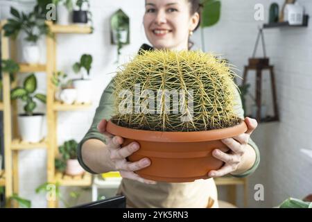 Grosser echinocactus Gruzoni in den Händen einer Frau im Inneren eines Grünhauses mit Regal-Sammlungen von Hauspflanzen. Eigenernte Stockfoto