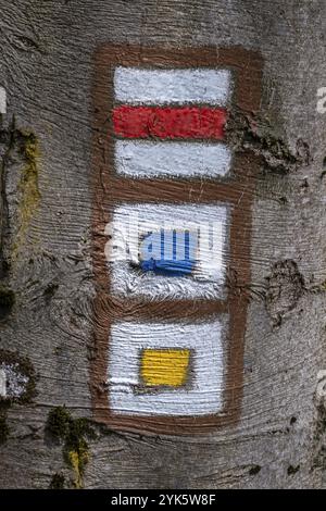 Touristenschild an Baumrinde. Markierung von Touristenrouten Stockfoto