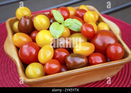 Verschiedene bunte Kirschtomaten. Gesunde Ernährung oder vegetarisches Konzept Stockfoto