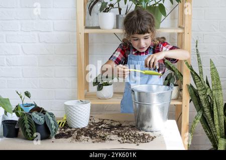 Ein Mädchen transplantiert einen Potted Houseplant Philodendron in einen neuen Boden mit Drainage. Topfpflanzenpflege, Bewässerung, Düngung, von Hand die Mischung w bestreuen Stockfoto