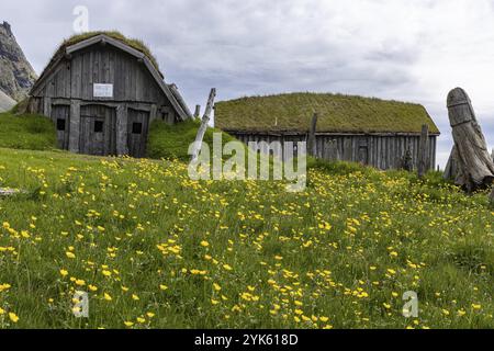 Wikingerdorf in Vestrahorn, Stokksnes, Südküste, Island, Europa Stockfoto