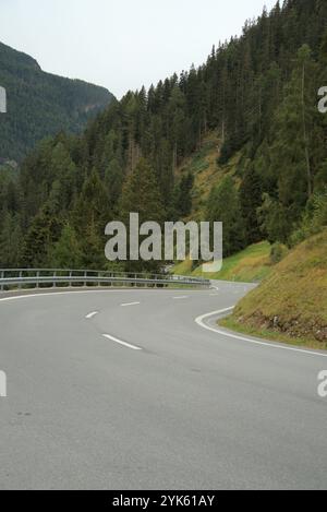 Kurvenreiche Bergstraße durch die Schweizer Alpen, umgeben von dichtem grünen Wald und sanften Hügeln. Stockfoto