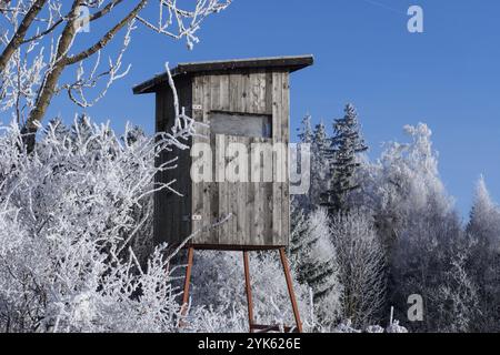 Hölzerner Aussichtsturm für die Jagd in der Winterlandschaft mit gefrorenen Bäumen und blauem Himmel Stockfoto