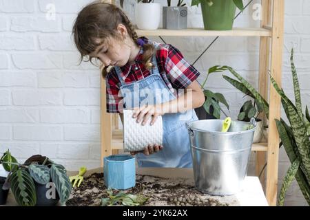 Ein Mädchen transplantiert einen Potted Houseplant Philodendron in einen neuen Boden mit Drainage. Topfpflanzenpflege, Bewässerung, Düngung, von Hand die Mischung w bestreuen Stockfoto