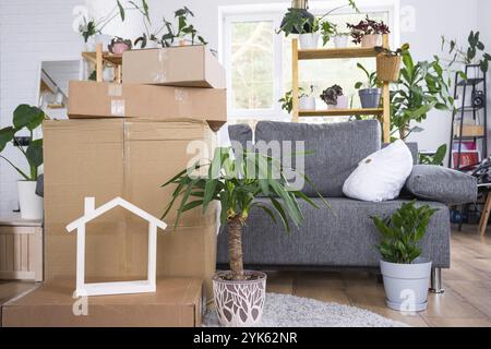 Im Raum des neuen Hauses befinden sich Boxen mit Dingen zum Umziehen und Pflanzen. Zimmererwärmung, Familienbesitz, Frachttransport und Lieferung von Th Stockfoto