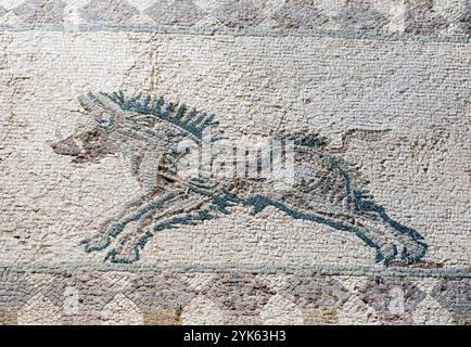 Haus von Dionysos, Paphos: Jagdszene Römisches Bodenmosaik mit einem laufenden Wildschwein. Stockfoto