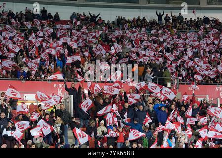 Linz, Österreich. November 2024. LINZ, ÖSTERREICH - 17. NOVEMBER: Fans Österreichs beim Spiel der UEFA Nations League 2024/25 Liga B Gruppe B3 zwischen Österreich und Slowenien am 17. November 2024 in Wien, Österreich.241117 SEPA 19 037 - 20241117 PD7873 Credit: APA-PictureDesk/Alamy Live News Stockfoto