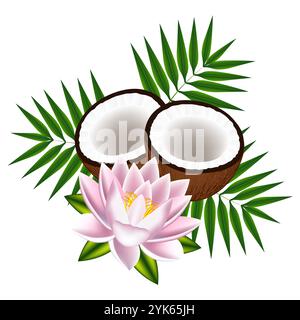 Kokosnüsse mit Blättern und Lotus auf weißem Hintergrund. Stock Vektor