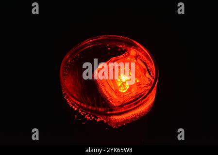 Rot leuchtender Eiswürfel schwimmt in einem Glas Sektglas mit einem Getränk. Plastikgegenstände in Form von Eiswürfeln mit eingebauter Leuchtdiode. Stockfoto
