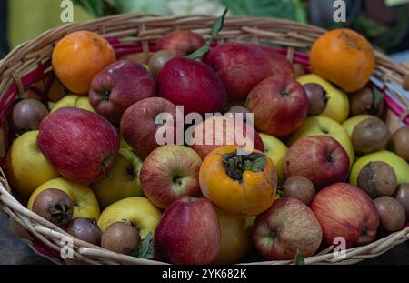 Ein üppiger Korb mit einer Auswahl an Reifen Früchten, darunter Äpfel, Persimmonen und Birnen, die eine Ernte lebendiger, frischer Produkte präsentieren Stockfoto