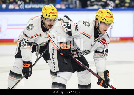 Berlin, Deutschland. November 2024. GER, Berlin, DEL, Eisbaren Berlin vs Loewen Frankfurt, Spielzeit 2024/2025, in der UBER Arena, 17.11.2024, im Bild v.l. Cameron Brace (Loewen Frankfurt, #86), Markus Schweiger (Loewen Frankfurt, #64), lauern beim Bully auf den Puck, Credit: HMB Media/Alamy Live News Stockfoto